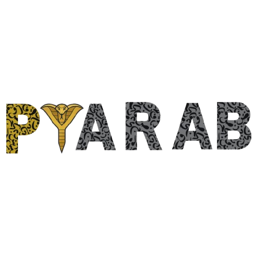 Pyarab